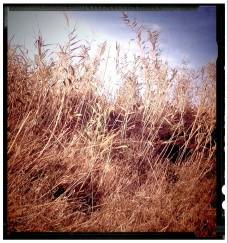 ULTIMO GIORNO D'ESTATE